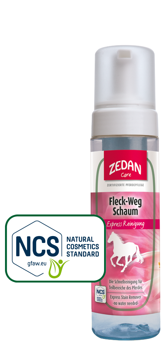 zedan-fleck-weg-schaum-express-reinigung-ohne-wasser-mit-bio-ginkgo image 1